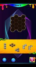 Chad Wild Clay Hexa Puzzle截图4