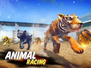 The Animal Racing截图4