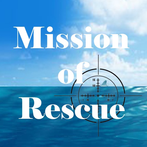 Mission of Rescue截图1