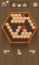 Wooden 100 Block Puzzle截图3