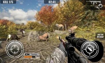 Animal Hunting Sport Wild Hunter Sniper 3D截图3