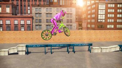 Real BMX Stunts截图5