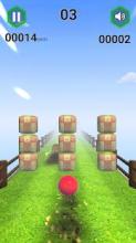 Crazy Ball Racing :3d Free Racing Game截图1