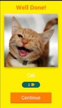 Funny Animal Guesser截图5