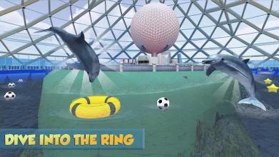 Dolphin Aquarium: Fun Sports 3D Challenge截图5