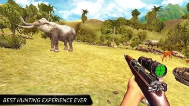 Jungle Safari Animal Hunter截图4