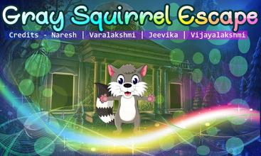 Best Escape Games 61 - Gray Squirrel Escape Game截图2