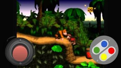 SNES Dnkey Kong Jungle截图1