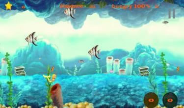 fish live 2d - adventure game截图1