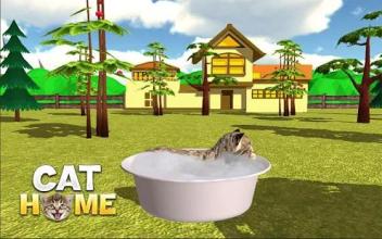 Cat Home : Kitten Daycare & Kitty Care Hotel截图2