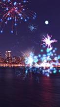 Fireworks Show截图2