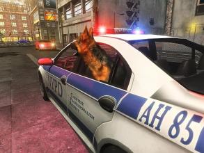 Police Dog Survival截图3