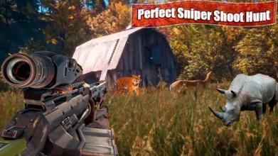 Real Wild Hunter : Jungle Shooting Games 3d截图5