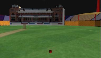 Real Cricket Runout Championship截图1