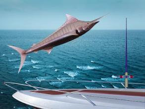 Fishing Marlin 2018截图3