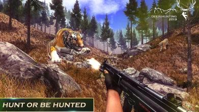 Deer Hunting 2019 – Jungle Hunter 3D截图5