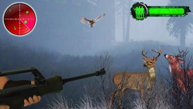 Deer Hunting American Sniper Shooting Game 2018截图1