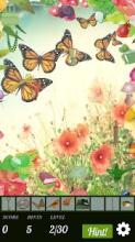 Hidden Object - Butterfly Garden截图5