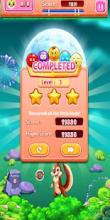 Bubble Shooter Bird Baloon截图4