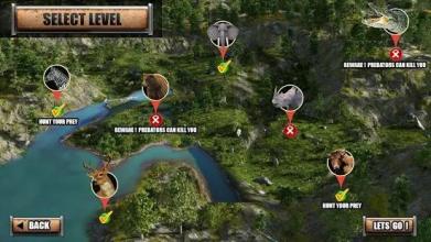 The Lion Simulator 3D: Forest Life of Lion Games截图2