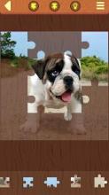 Dog Puzzles截图2