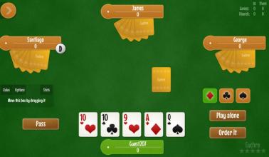 Euchre free card game截图3