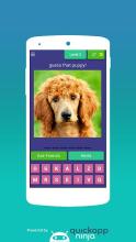 guess that puppy截图2