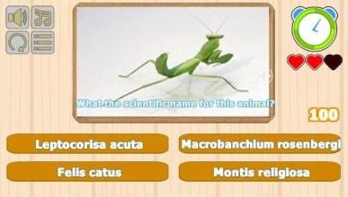 Guess Animal Scientific Names截图3