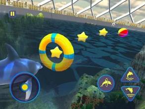 Dolphin Aquarium: Fun Sports 3D Challenge截图2