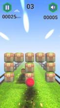 Crazy Ball Racing :3d Free Racing Game截图4