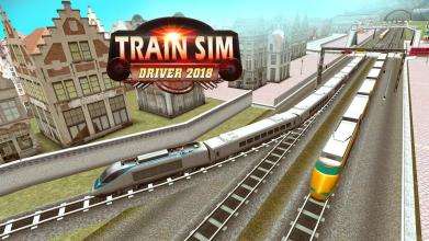 Train Simulation 2017截图1