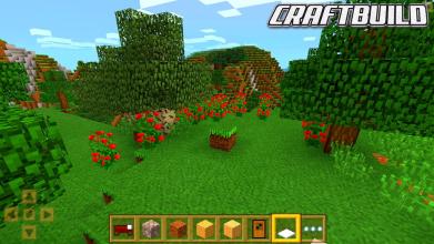 Craft Build - Exploration Master截图4