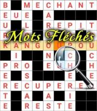 France Crossword Puzzle Free截图4