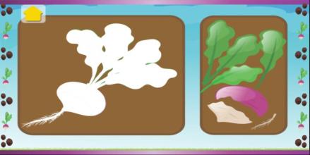 Plant Evolution Simulator – Farmer Clicker Game截图3