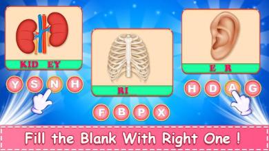 Learn Human Body Parts For Kids截图4