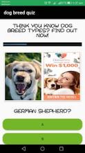 dog breed quiz: dog breed characteristics quiz截图3