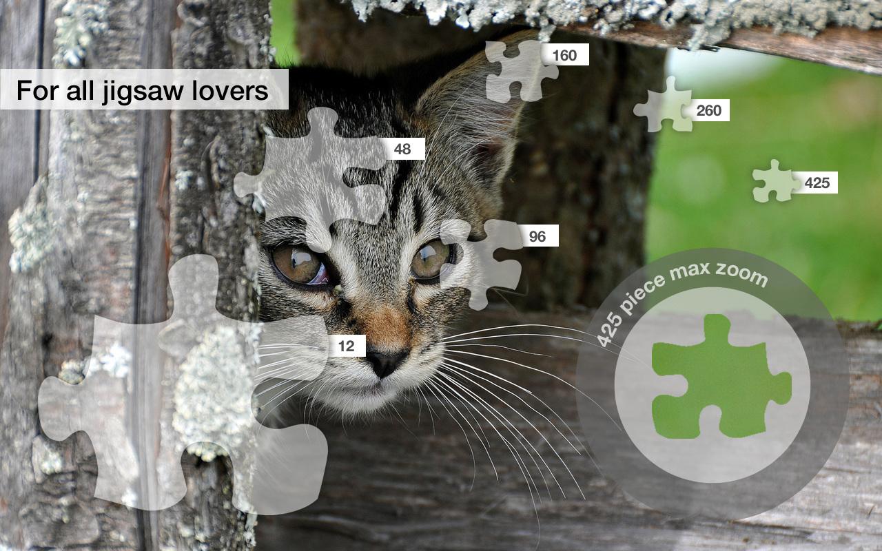 Cute Cats Jigsaw Puzzles截图2