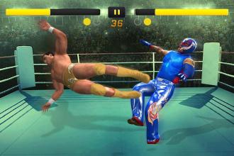 New Immortal Superstar Wrestling Game截图5