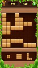 Wood Block Puzzle King截图2