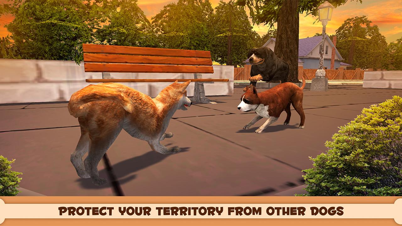 Play With Your Dog: Shiba Inu截图2