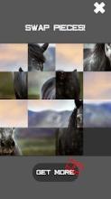 Horse Slide Puzzle截图1