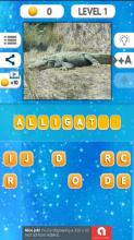 Gues The Animal截图3