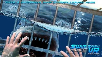 Swim Sharks In Cage VR Simulator截图3