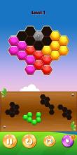 Honeycomb Puzzle Hero截图2