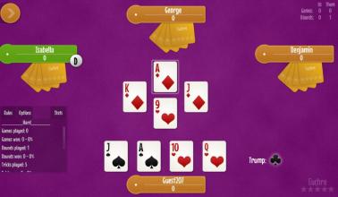 Euchre free card game截图4