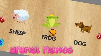 Animal Games For Kids截图1