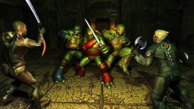 Real Ninja Turtle Street Fighting Games 2018截图2