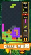 Terris Block Puzzle Classic截图4