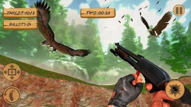 Chicken Shooting Game of Bird Hunting Bottle Shoot截图3