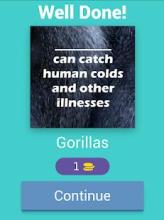 Fun Animal Facts截图5